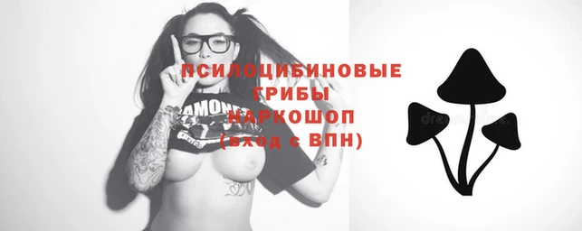 винт Арсеньев