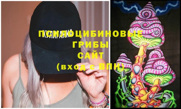винт Арсеньев