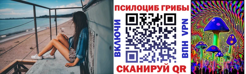 kraken сайт  Красноярск  Псилоцибиновые грибы прущие грибы  где найти наркотики 